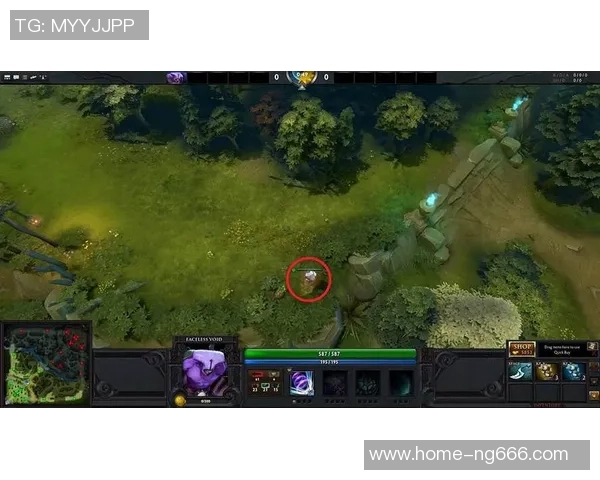 BLG在DOTA2比赛中的区域防守策略分析与成效评估