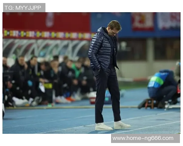 奥地利与德国友谊赛因不可抗力因素宣布取消引发广泛关注