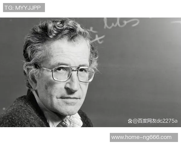 斯通斯乐队的传奇之路与音乐影响力的深远探讨